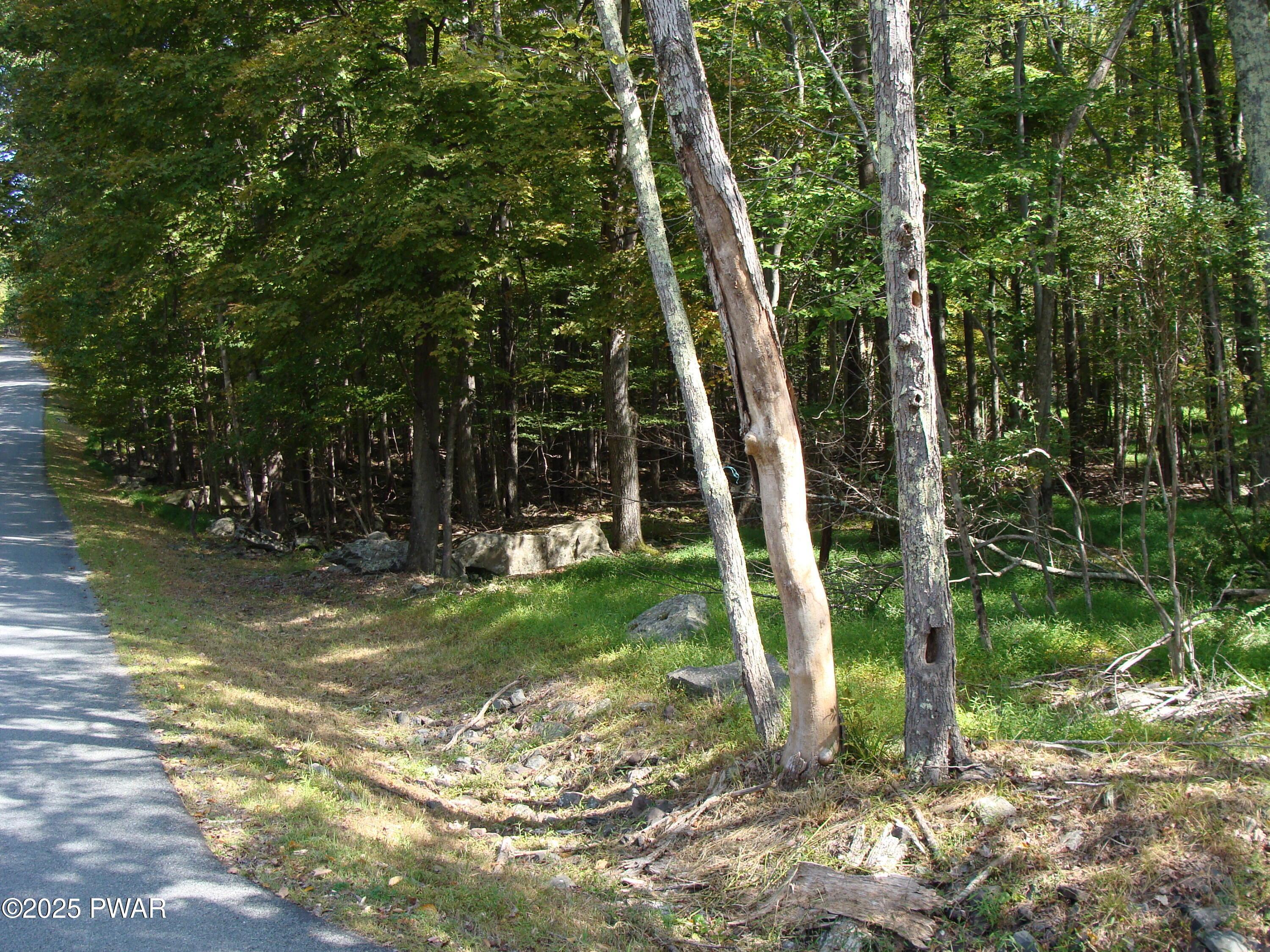 Image 3 Image 3