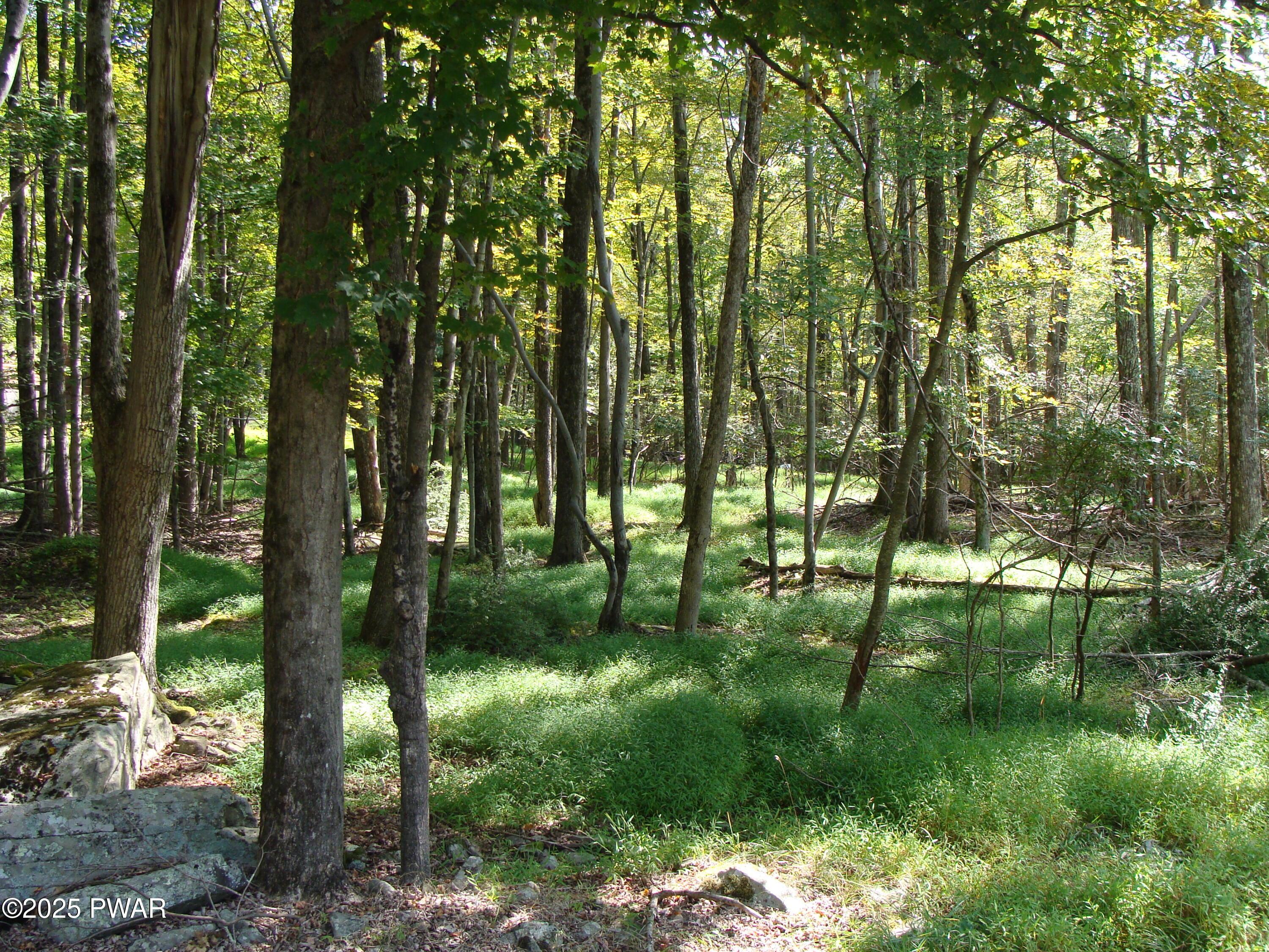 Image 4 Image 4