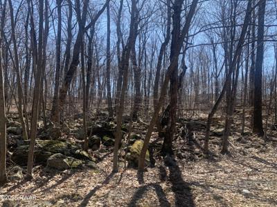 Lot 16 Cedar Ridge Road