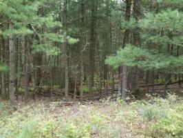 Lot 82 Hawks Nest Dr