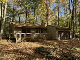 181 Mountainside Dr
