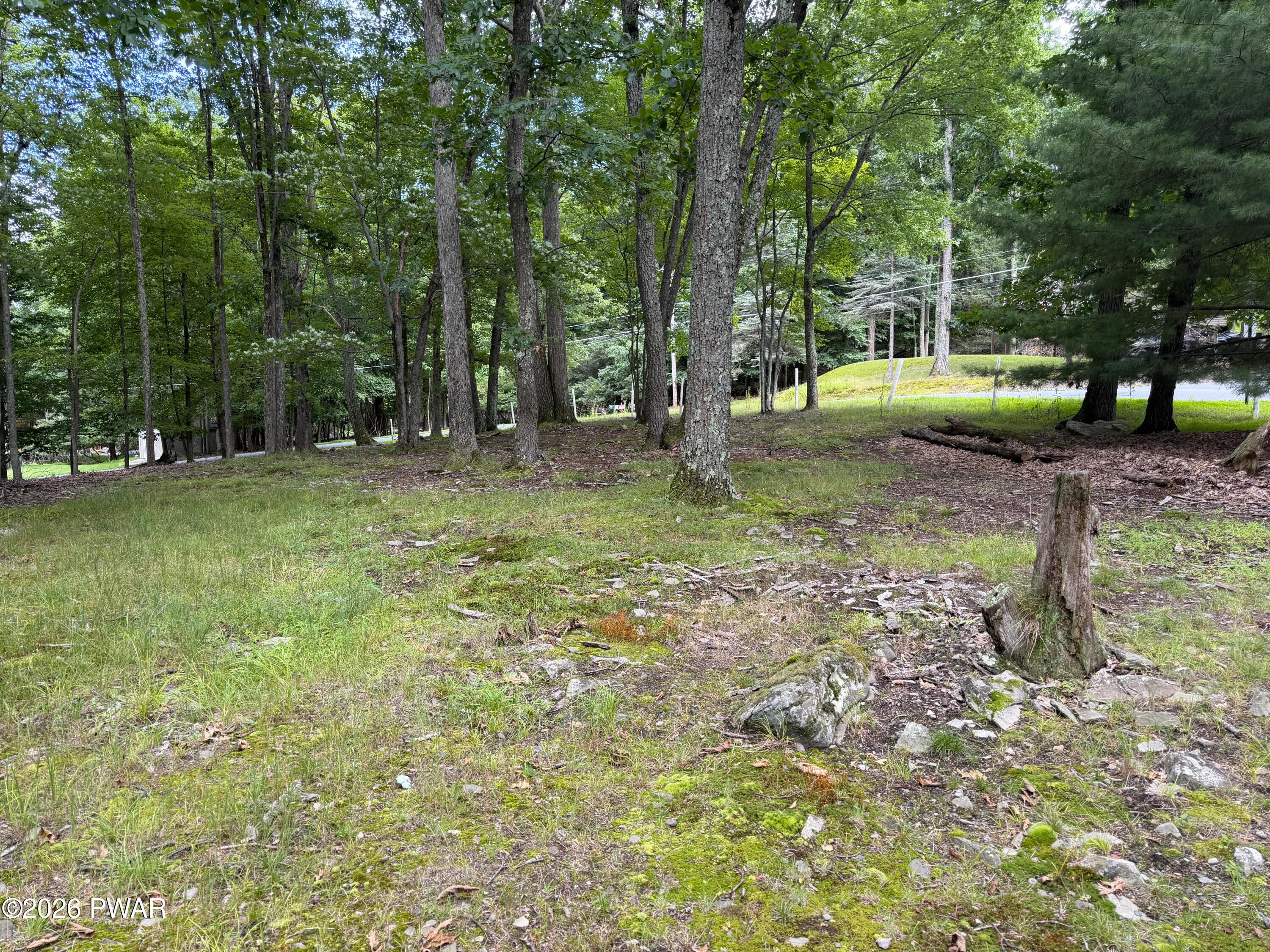 Image 4 Image 4