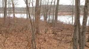 134 LOWER LAKEVIEW Dr