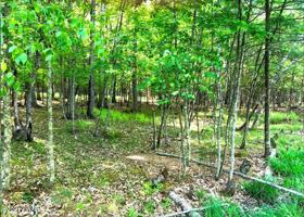 Lot 58 Hawks Nest Dr