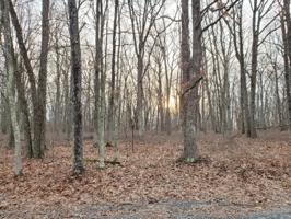 Lot 31 Fawn Lake Dr