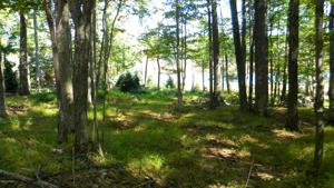 Lot #17 W Shore Dr