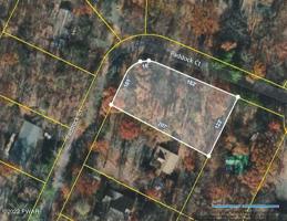 806 Paddock Ct