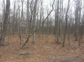 142 Evergreen Ct
