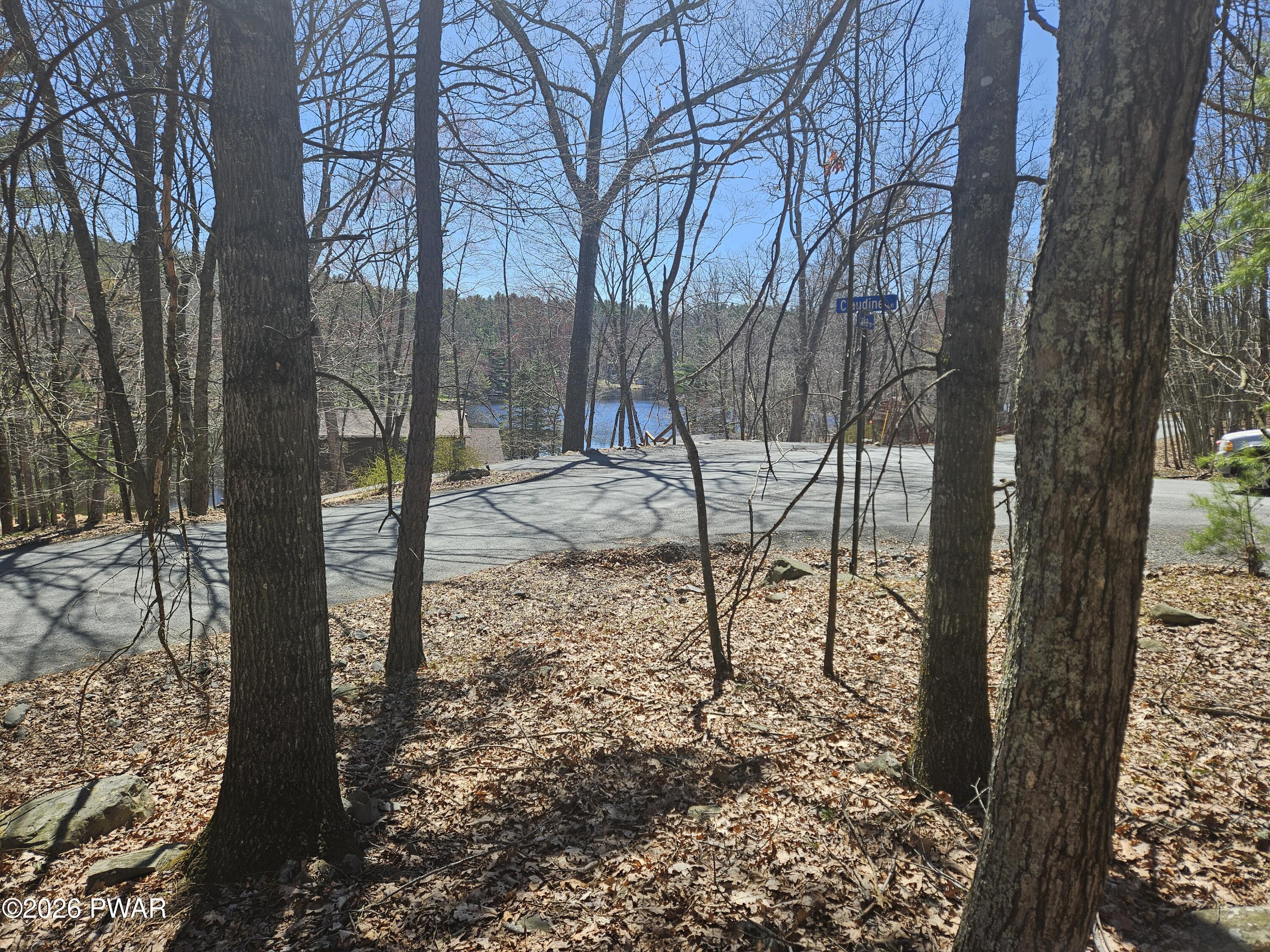 Image 4 Image 4