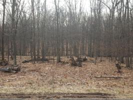 148 Cottonwood Dr