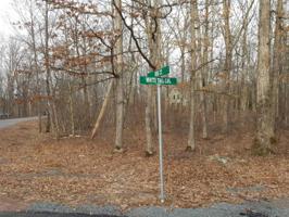 117 White Tail Cir