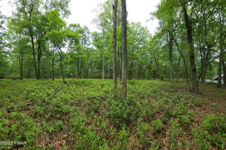Lot 26 Pine Place