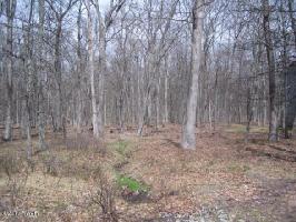 245 W Lakeview Dr