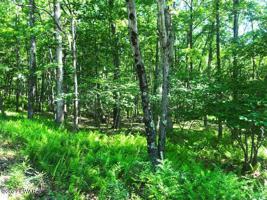 172 Parkwood Dr