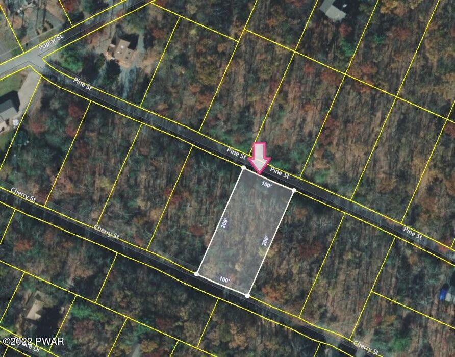 Image 4 Image 4