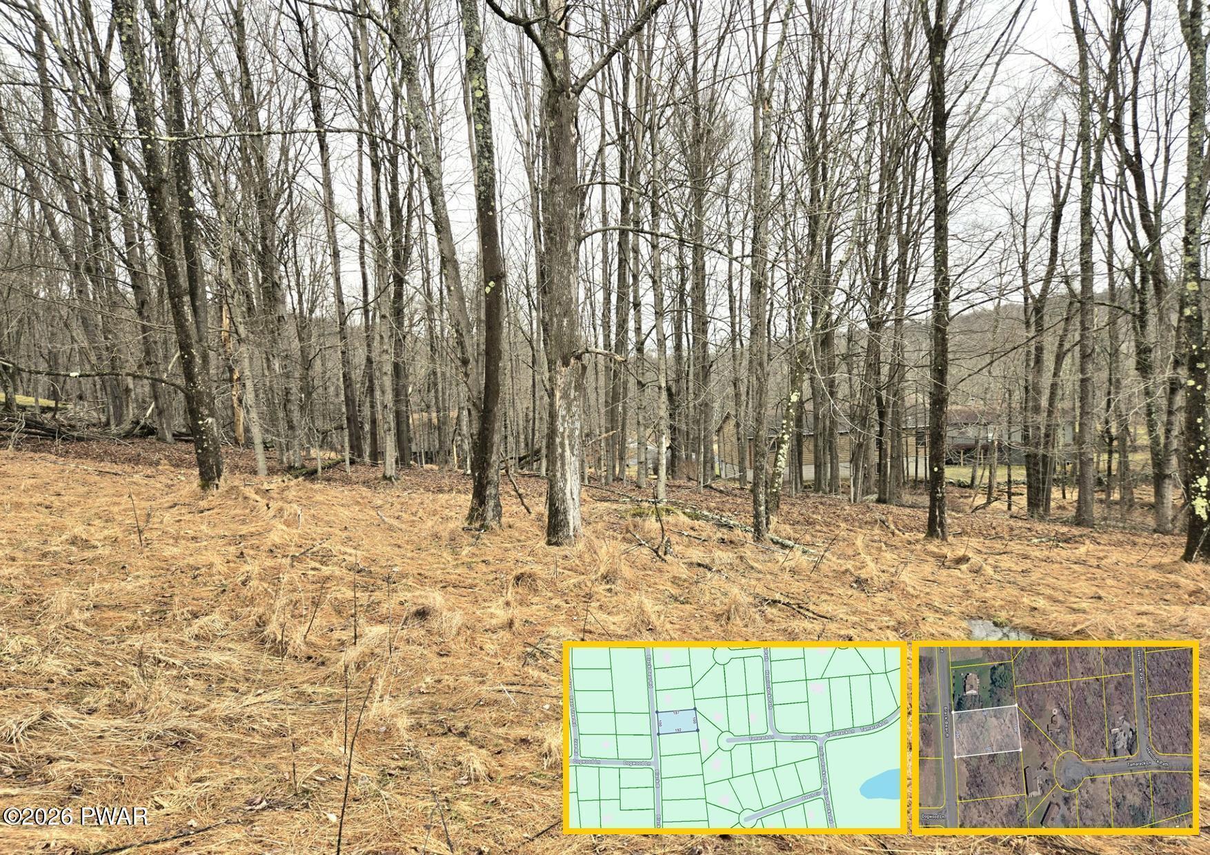 Image 1 Image 1