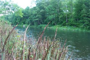 Lot #11 Airport Rd