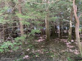 LOT 11 Lexington Ave Ave
