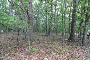 Lot 642 Cloud Crest Dr