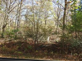 Lot 61 East Woods Dr