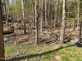 60 Chestnuthill Dr