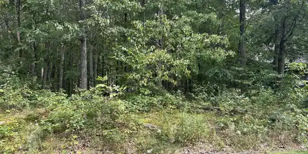 Lot 24 Willow Drive