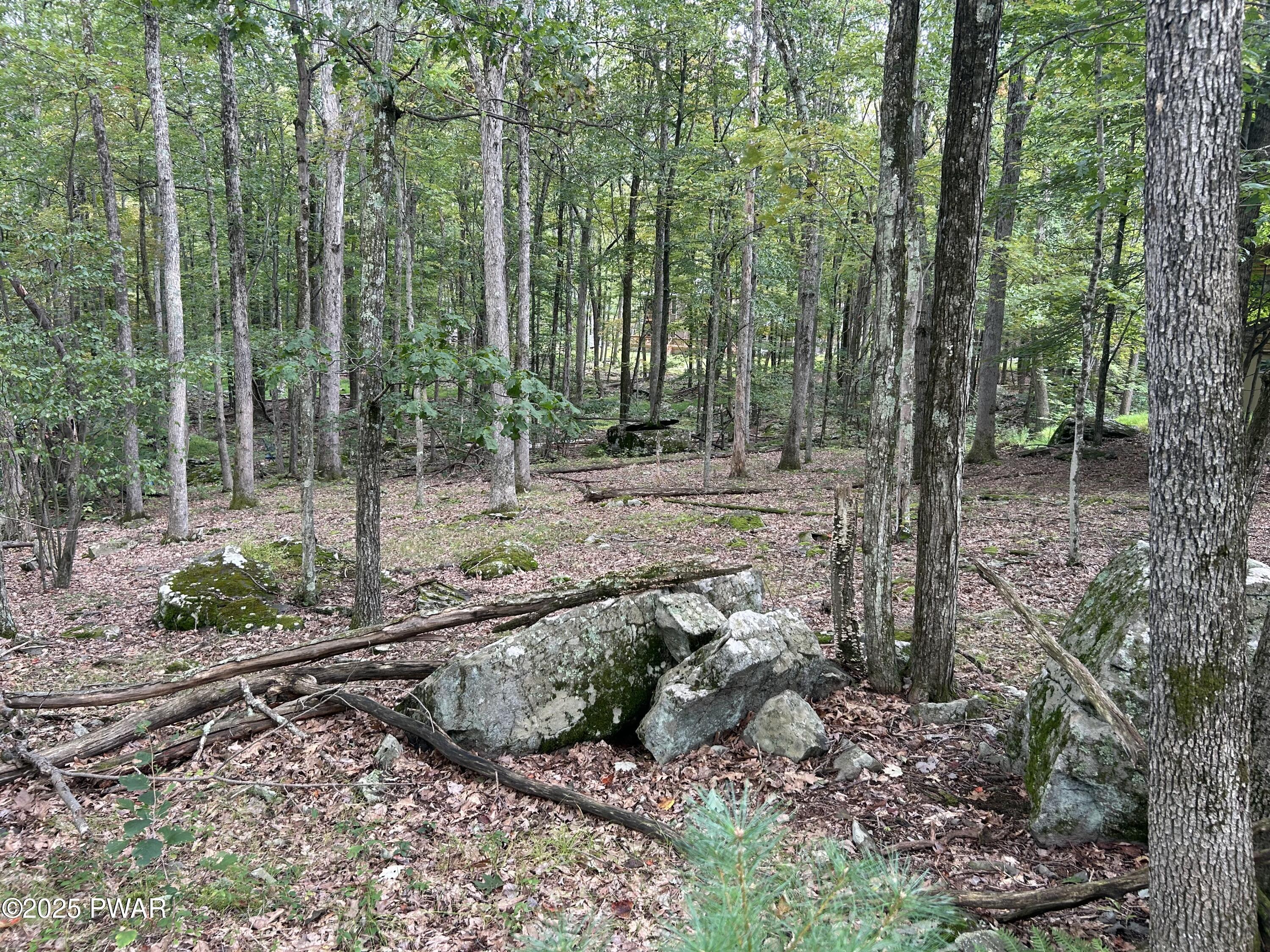 Image 3 Image 3