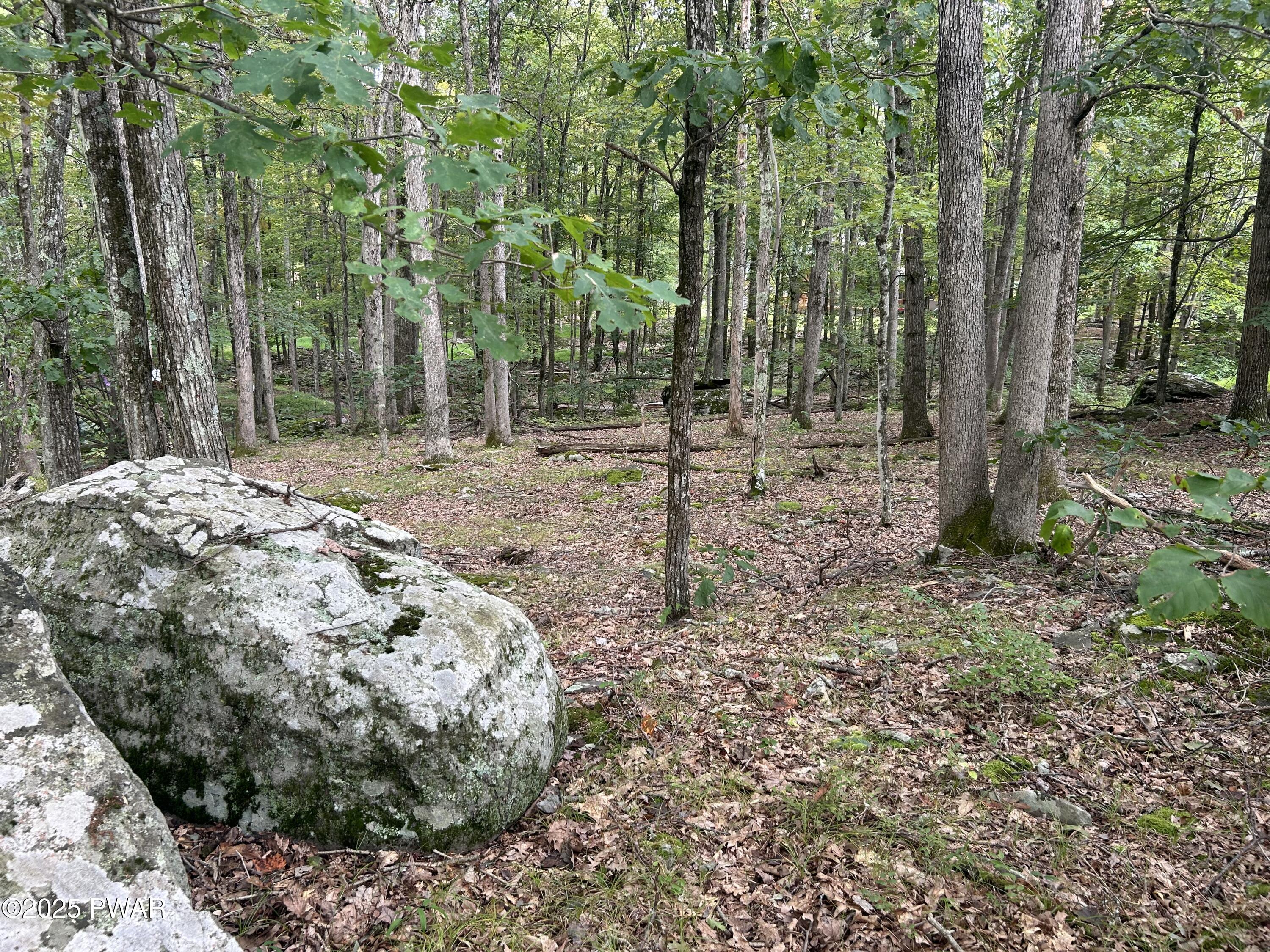 Image 4 Image 4