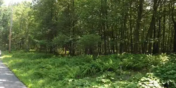 Lot 8 Ridge Road