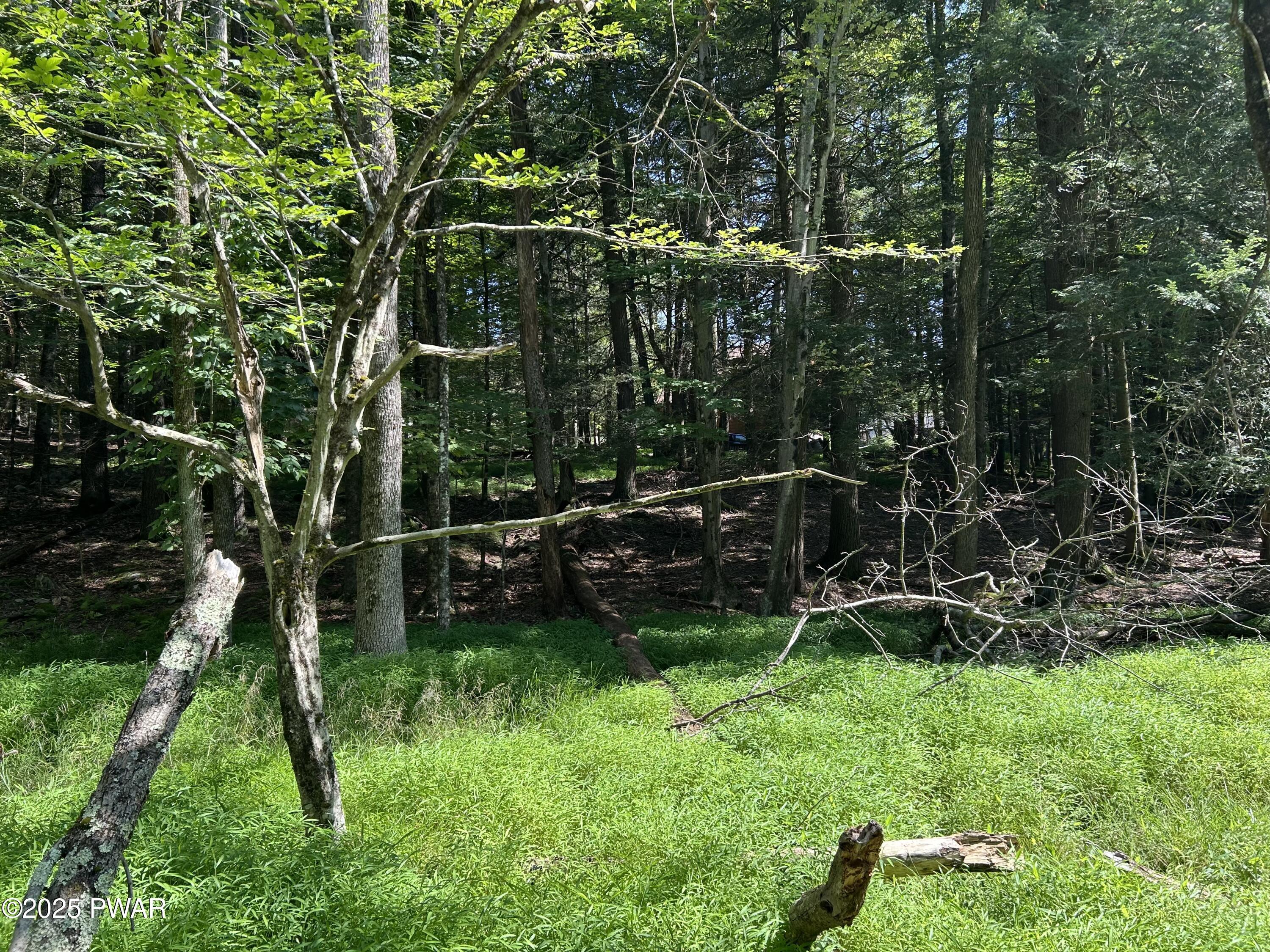 Image 4 Image 4