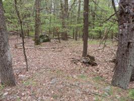 Lot # 8 Cedar Court
