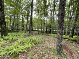 Lot 63&64 Skyline Dr