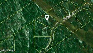 Pine Tree Rd