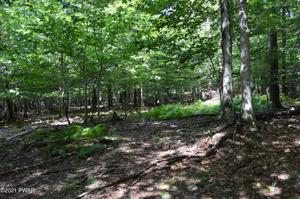142 Stone Dr