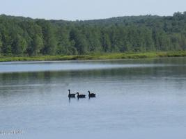Lot 772 Briarcrest Dr