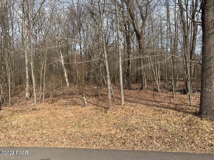 Image 1 Image 1