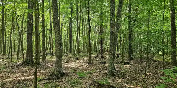 Lot 61 Rock Run Road