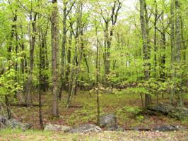 1016 Decker Ct