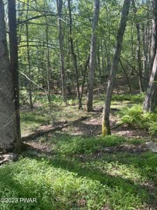 Parkers Glen Rd, Birch &Cedar