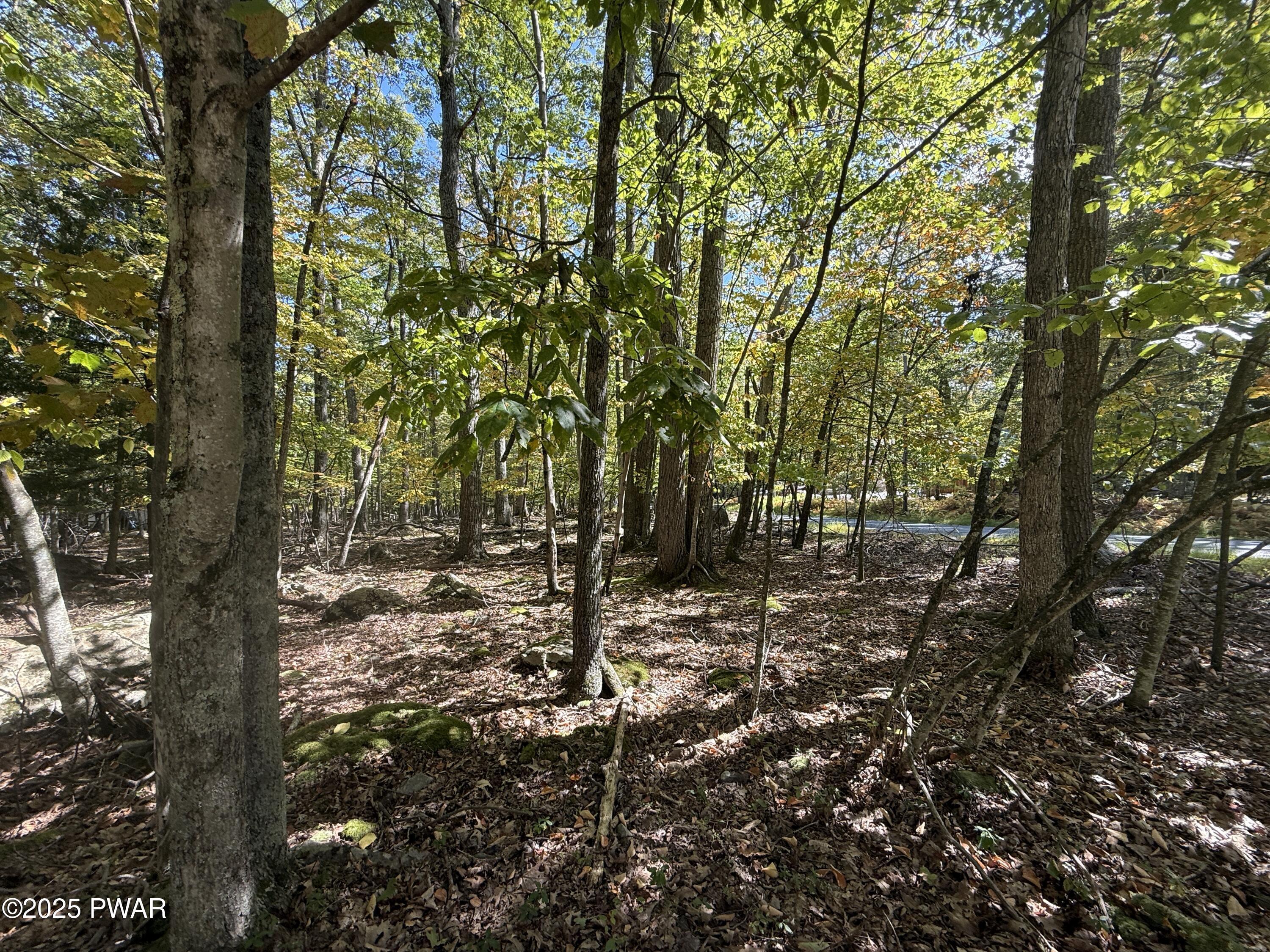 Image 3 Image 3