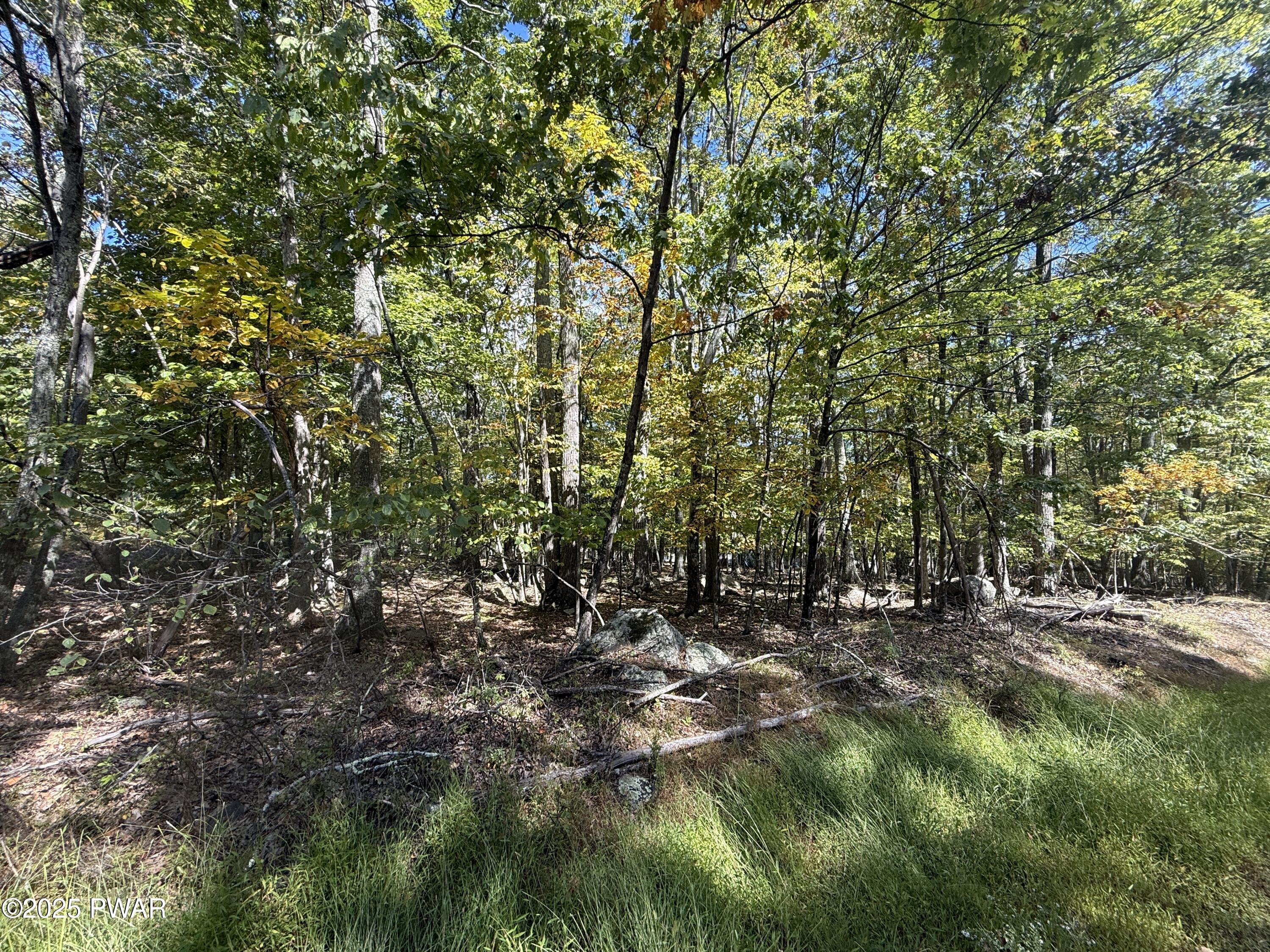 Image 4 Image 4