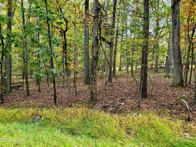 352 Timber Ridge Drive