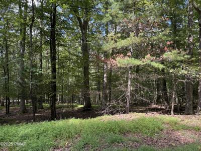 Cedar Ridge Road