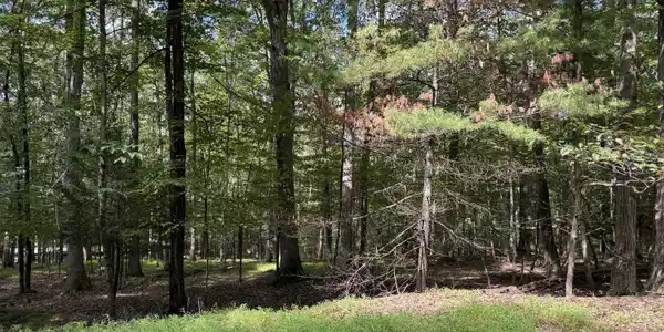Cedar Ridge Road