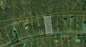 217 Chestnuthill Dr
