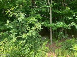 24 Wild Acres Dr