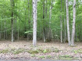 LOT 19 Masthope Plank Rd