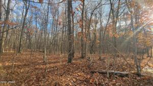 Lot 61 Perry Pond Rd