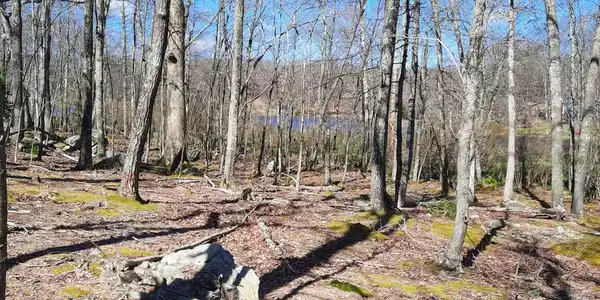 Image 4 Image 4
