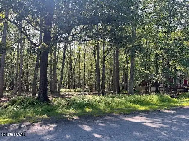 Image 1 Image 1